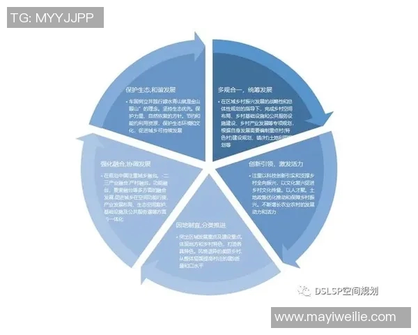 广州篮球队战术解析与发展探讨聚焦球队未来竞技表现与战略调整